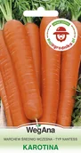 Nasiona i cebule - Marchew Karotina 3g (REDUM) - WegAna - miniaturka - grafika 1