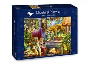 Bluebird Puzzle 2000 Tygrys - Puzzle - miniaturka - grafika 1