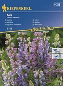 Nasiona i cebule - Kiepenkerl Łubin jednoroczny mieszanka 102055 - miniaturka - grafika 1