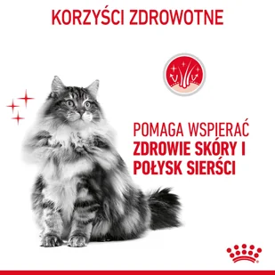 ROYAL CANIN Hair&Skin Care 10kg karma sucha dla kotów dorosłych, lśniąca sierść i zdrowa skóra + saszetka Intense Beauty (galaretka) 12x85g - Sucha karma dla kotów - miniaturka - grafika 5