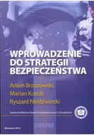 Biznes - Wprowadzenie do strategii bezpieczeństwa - miniaturka - grafika 1