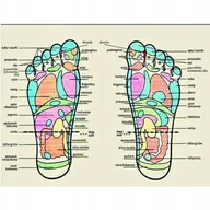 Masażery - Drewniany masażer do stóp roller Mięśni MASUJĄCY do MASAŻU Akupresury - miniaturka - grafika 1
