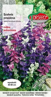 Nasiona Szałwia powabna mieszanka - Torseed - Nasiona i cebule - miniaturka - grafika 1