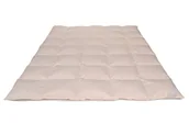 Kołdry - Piórex S.A. KOŁDRA PUCH GĘSI 200X220 CM KREMOWA - miniaturka - grafika 1