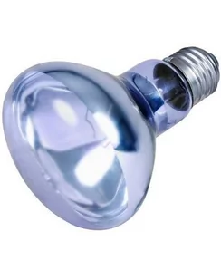 Trixie TRIXIE Punktowa lampa grzewcza neodymowa 75 W - Akcesoria do terrarium - miniaturka - grafika 1