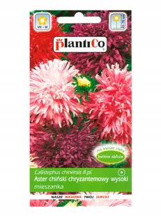 Nasiona Aster Chiński Chryzantemowy Mieszanka 1 Gram Plantico - Nasiona i cebule - miniaturka - grafika 1
