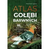 Poradniki hobbystyczne - Atlas gołębi barwnych - miniaturka - grafika 1