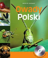 E-booki - poradniki - Owady Polski - miniaturka - grafika 1