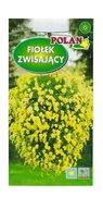 Nasiona i cebule - Fiołek zwisający żółty 0,3 g POLAN - miniaturka - grafika 1