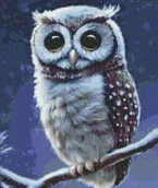 Malowanie po numerach - Diamentowa mozaika - Leśna sowa 40x50cm - Ideyka - miniaturka - grafika 1