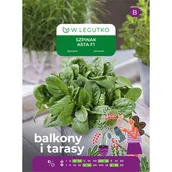 Nasiona i cebule - Szpinak Asta F1 nasiona 10g W. Legutko - miniaturka - grafika 1