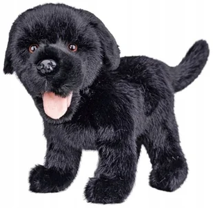 Maskotka Piesek Czarny Labrador Stojący Realistyczny - 23cm - Maskotki i pluszaki - miniaturka - grafika 1