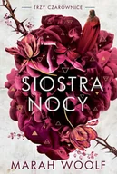 E-booki dla dzieci i młodzieży - Siostra nocy. Trzy czarownice. Tom 3 - miniaturka - grafika 1