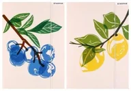 Teczki i skoroszyty - Teczka z gumką A4 Fruits - STARPAK - miniaturka - grafika 1