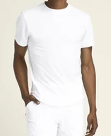 Koszulki sportowe męskie - Koszulka męska Wilson M Everyday Performance Tee Bright White M - miniaturka - grafika 1