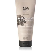 Odżywki do włosów - Urtekram - Odżywka, Delikatny imbir przeciw łupieżowi, BIO, 180 ml - miniaturka - grafika 1