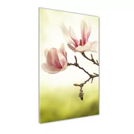 Obrazy i zdjęcia na płótnie - Foto obraz na szkle pionowy Kwiaty magnolii - miniaturka - grafika 1