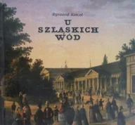 Książki o kulturze i sztuce - U szląskich wód - miniaturka - grafika 1
