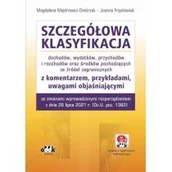 Finanse, księgowość, bankowość - ODDK Szczegółowa klasyfikacja dochodów wydatków przychodów i rozchodów - miniaturka - grafika 1