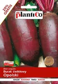 Nasiona i cebule - NASIONA Burak Ćwikłowy Opolski 12g PLANTICO 403536 - miniaturka - grafika 1