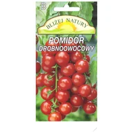 Nasiona i cebule - Pomidor koktajlowy czerwony 0,3 POLAN - miniaturka - grafika 1