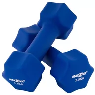 Hantle i ciężarki - MAXXIVA Zestaw hantli z pokrowcem neoprenowym 2 x 2,5 kg, ni - miniaturka - grafika 1