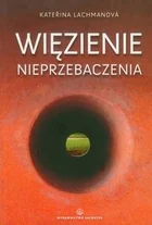 Salwator Więzienie nieprzebaczenia - Lachmanova Katerina - Religia i religioznawstwo - miniaturka - grafika 2