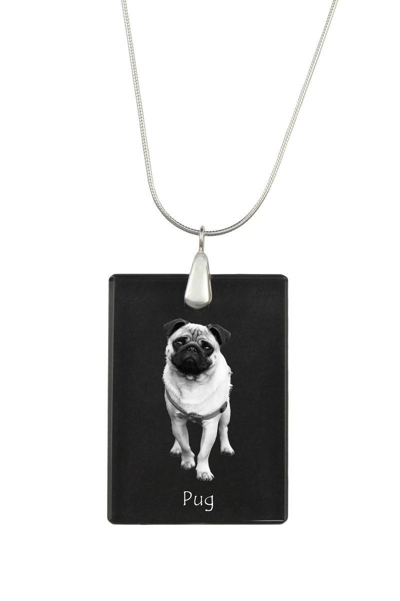 Mops, Pug, Carlin - kryształowa zawieszka z psem, srebrny naszyjnik ze zdjęciem, personalizowany wisiorek marki Art-Dog
