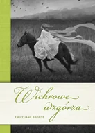 Powieści i opowiadania - Wichrowe wzgórza - Brontë Emily - książka - miniaturka - grafika 1