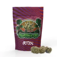 Suplementy naturalne - SUSZ KONOPNY CALIFORNIA CBD CRITICAL 20g - miniaturka - grafika 1
