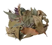 Dekoracje do terrarium - EXO PLANET Jungle Mix Leaves – liście z dżungli 40g - miniaturka - grafika 1