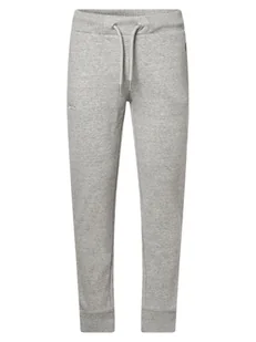Superdry - Spodnie dresowe męskie, szary - Spodnie sportowe męskie - miniaturka - grafika 1