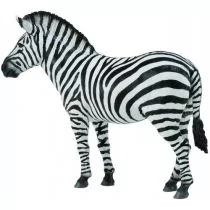 COLLECTA Zebra pospolita - Figurki dla dzieci - miniaturka - grafika 1