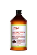 Suplementy naturalne - Jiva, Dashmoolarishta, Ajurwedyjskie Zioła Do Picia Na Wzmocnienie I Regenerację, 450ml - miniaturka - grafika 1