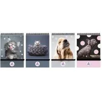 Beniamin Kołonotes A6 The sweet pets kratka 96 kartek 10 szt. - Szkolne artykuły papiernicze - miniaturka - grafika 1