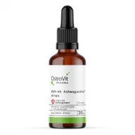 Układ nerwowy - OstroVit Pharma KSM-66 Ashwagandha Suplement diety 30 ml - miniaturka - grafika 1