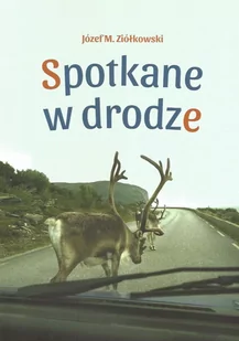Spotkane w drodze - Albumy krajoznawcze - miniaturka - grafika 1