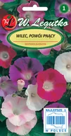 Nasiona i cebule - Legutko Wilec (Powój pnący) EARLY CALL - miniaturka - grafika 1