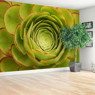 Fototapeta Kwiat Zielony - Fototapety Fototapeta Kwiat Zielony - Fototapety - miniaturka - grafika 1