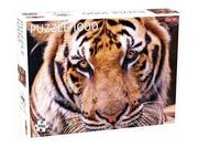 Puzzle - Puzzle Tygrys 1000 - miniaturka - grafika 1