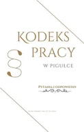 E-booki - prawo - Kodeks pracy w pigułce. Pytania i odpowiedzi - miniaturka - grafika 1