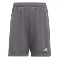 Spodenki damskie - adidas Szorty dziecięce, uniseks, Team Grey Four, 5-6 Lat - miniaturka - grafika 1
