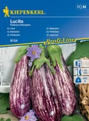 Nasiona i cebule - Bakłażan Lucilla F1 8154 (ST) - miniaturka - grafika 1