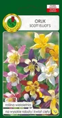 Nasiona i cebule - Orlik Scott Elliott's mix 1 g PNOS - miniaturka - grafika 1