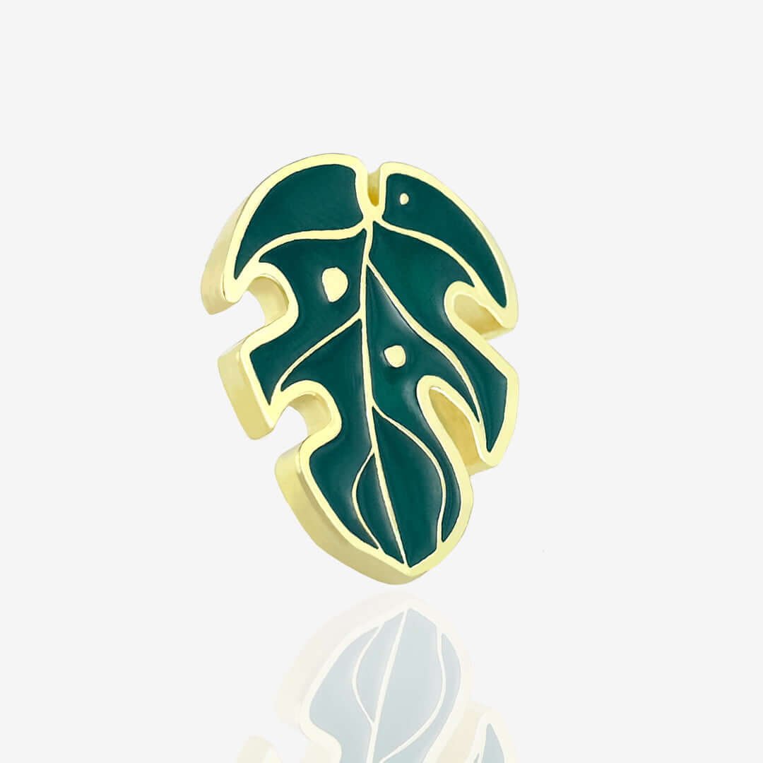 Pins monstera 