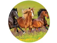 Ciasta i półprodukty do ciast - Dekoracyjny opłatek tortowy Konie - 20 cm - miniaturka - grafika 1