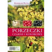 Rośliny i zwierzęta - Hortpress Porzeczki czarne i kolorowe HORTPRESS - miniaturka - grafika 1