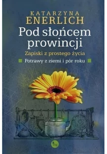 MG Pod słońcem prowincji Zapiski z prostego życia 1 - Powieści - miniaturka - grafika 2