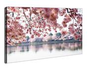 Obrazy i zdjęcia na płótnie - Kwiaty wiśni - obraz na płótnie Wymiar do wyboru: 100x70 cm - miniaturka - grafika 1