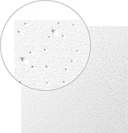 Inne materiały budowlane - Rigips Cosoprano Cosoprano płyta sufitowa 600x600x8 mm - miniaturka - grafika 1